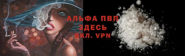 PSILOCYBIN Беломорск