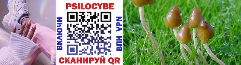Псилоцибиновые грибы Psilocybine cubensis  OMG ТОР  Морозовск 